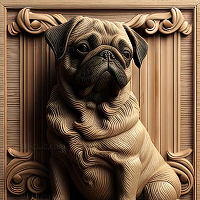 st Pug dog